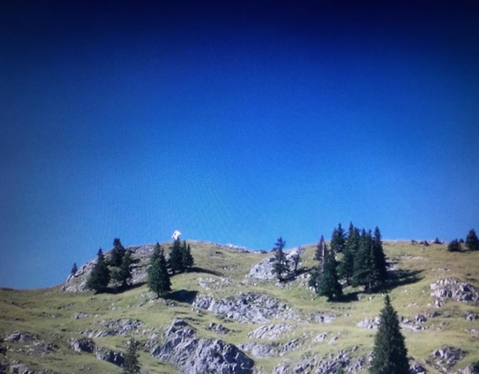 Appartamento Haus Zudrell Vandans Esterno foto