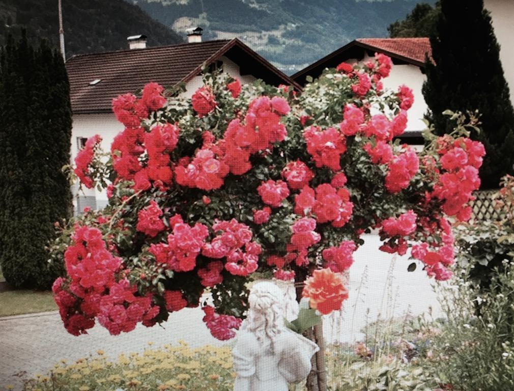 Appartamento Haus Zudrell Vandans Esterno foto
